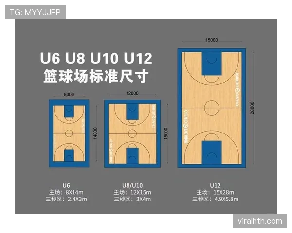 想知道篮球比赛中后场规则有哪些关键要点？为你全面解析