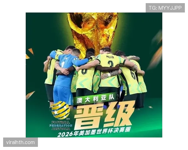 各洲球队晋级成功率预测